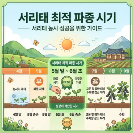서리태-파종시기